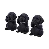 Three Wise Labradors