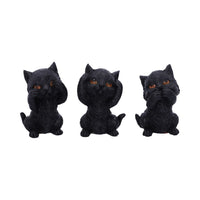 Three Wise Kitties